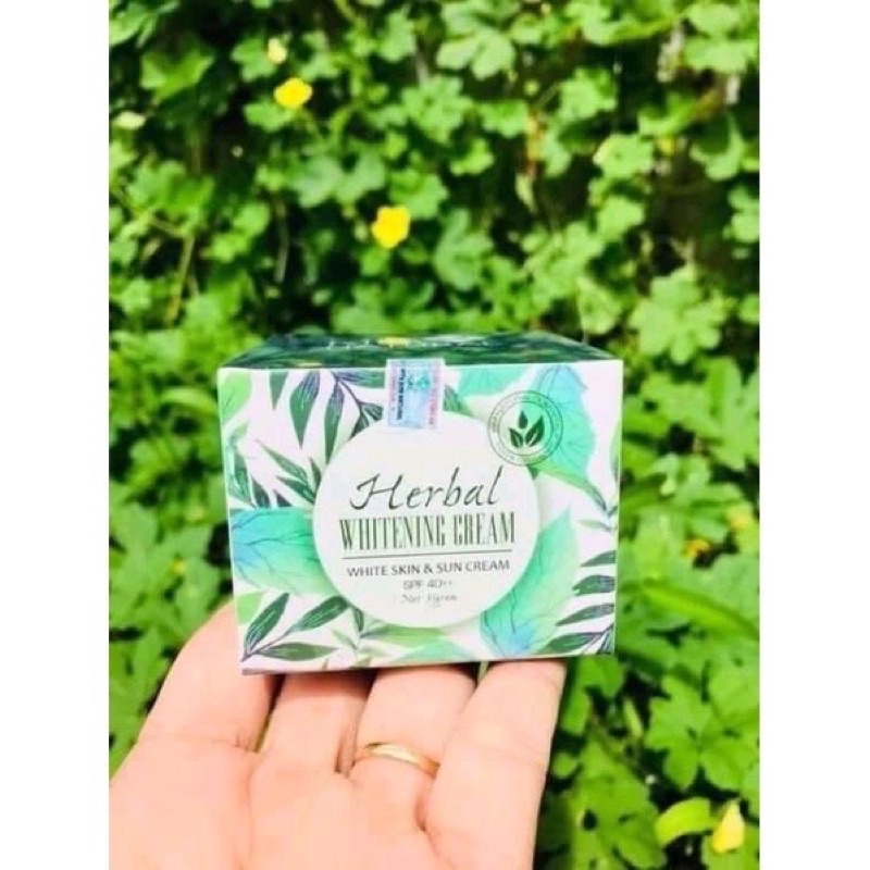 KEM FACE DƯỠNG DA THẢO DƯỢC KIMNATURAL