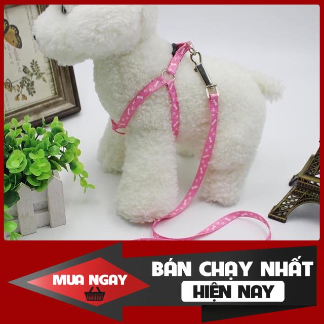 [❌GIÁ SỈ❌] DÂY DẮT CHO THÚ CƯNG DƯỚI 2KG ❤️