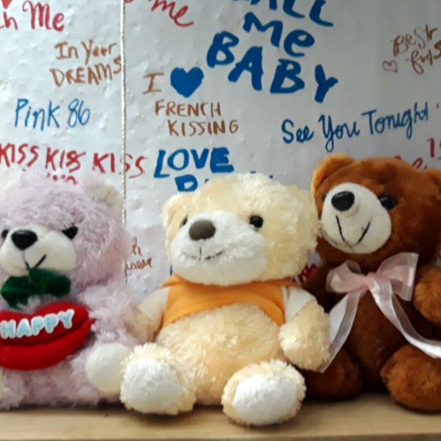 Sỉ 5 gấu 15cm 100k