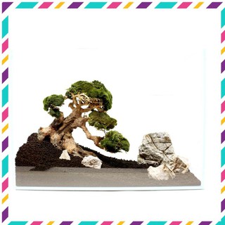 [Siêu Rẻ] Lũa Bonsai mini cho bể cá thủy sinh 25x20