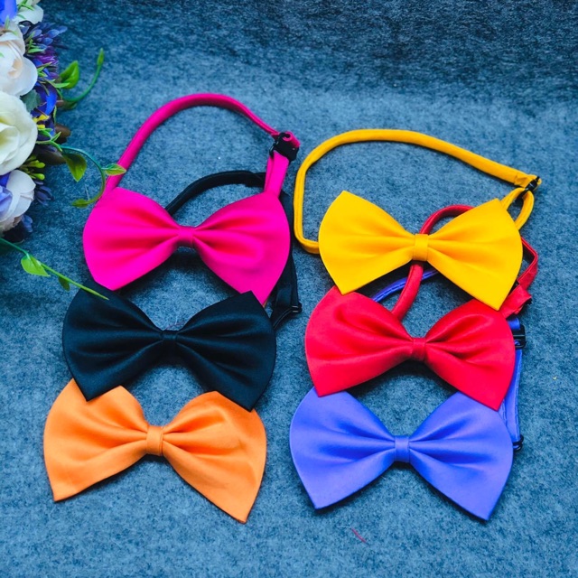 Nơ đeo cổ chó mèo