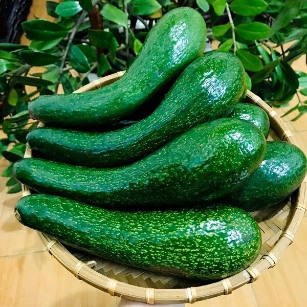 [HCM] Bơ 034 Đà Lạt 1kg - Dẻo, béo, không sơ (3-5 trái/kg) - Nhất Tín Food