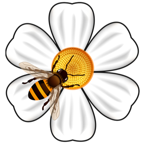 Xuyến Chi - Trà Đạo Thực Dưỡng