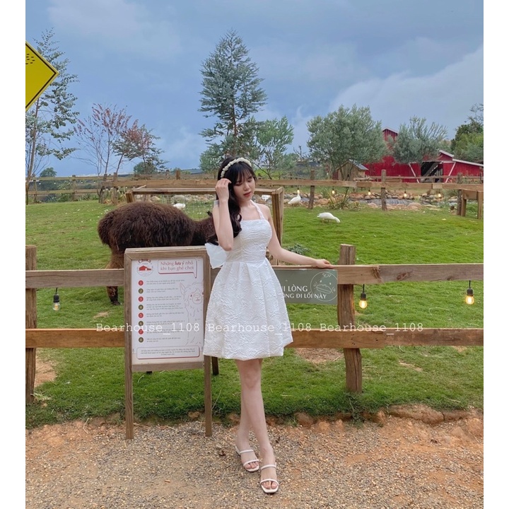 ❌ ĐẦM - VÁY GẤM HỞ LƯNG ĐI TIỆC * VENUS * | BigBuy360 - bigbuy360.vn