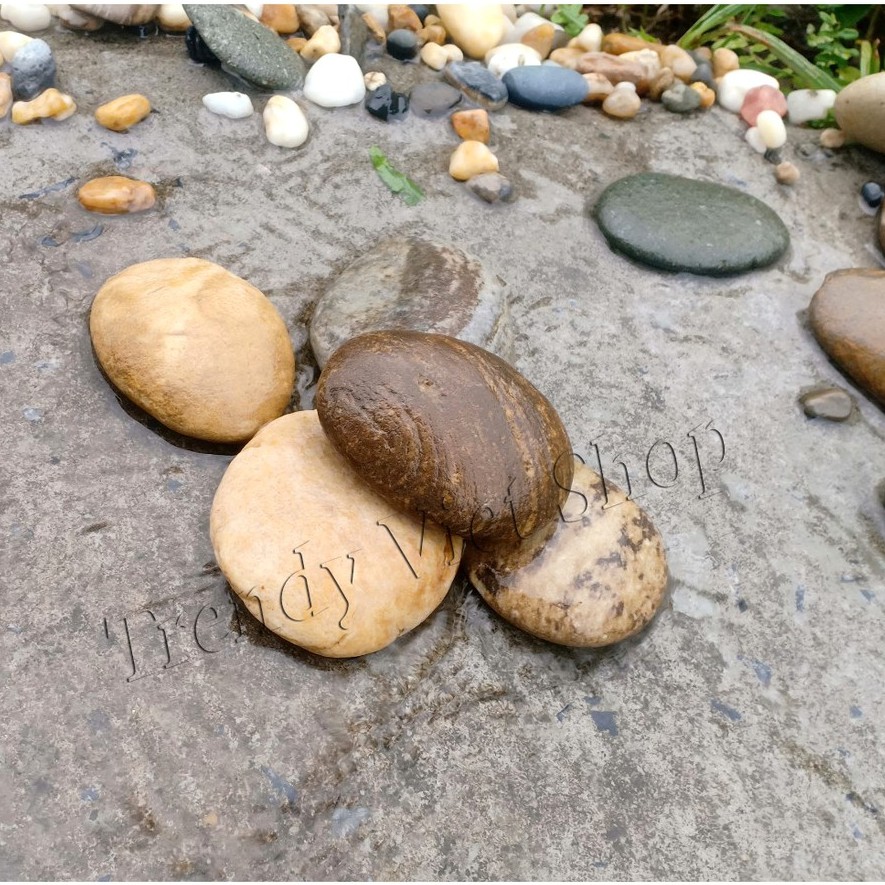 Đá Kì Tắm Tự Nhiên, Tẩy tế bào chết, Làm đẹp da | BigBuy360 - bigbuy360.vn