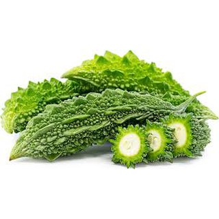 HẠT GIỐNG KHỔ QUA RỪNG