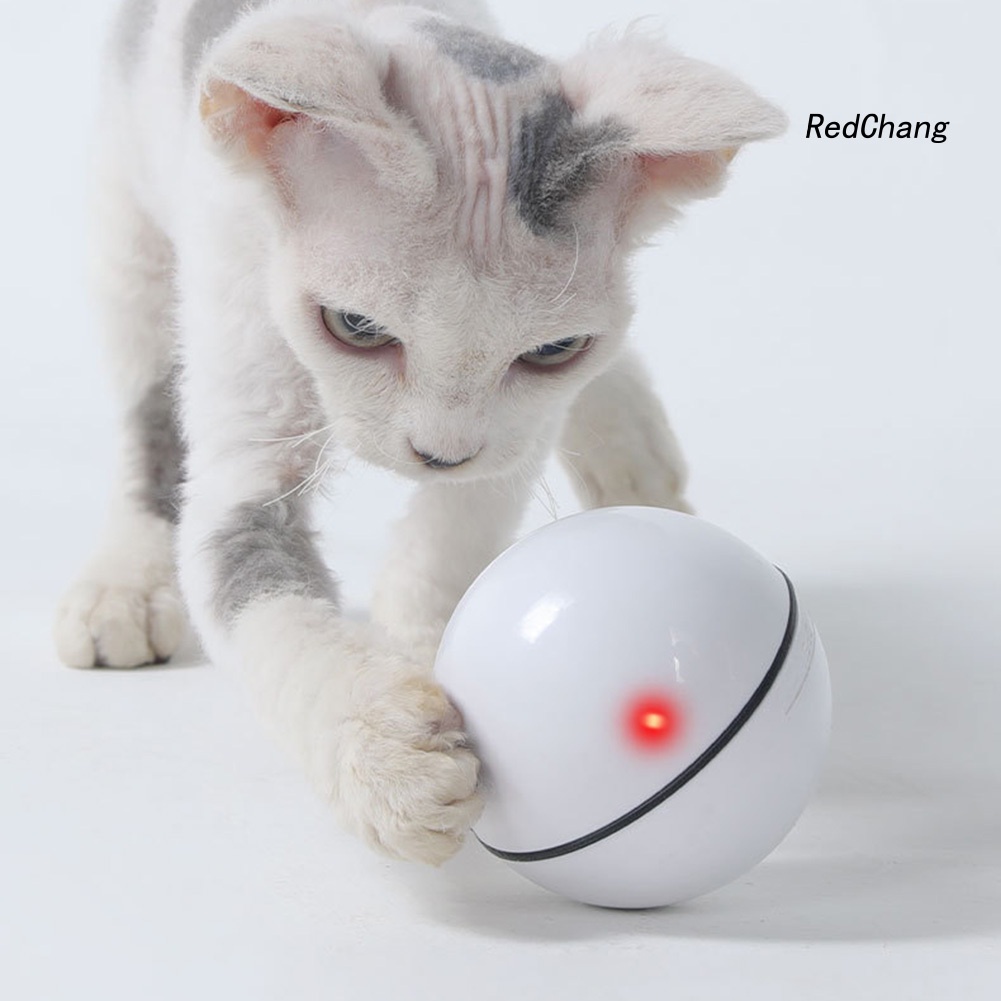 Đồ Chơi Tương Tác Thú Cưng Hình Quả Bóng Lăn Có Đèn Led Sạc Usb