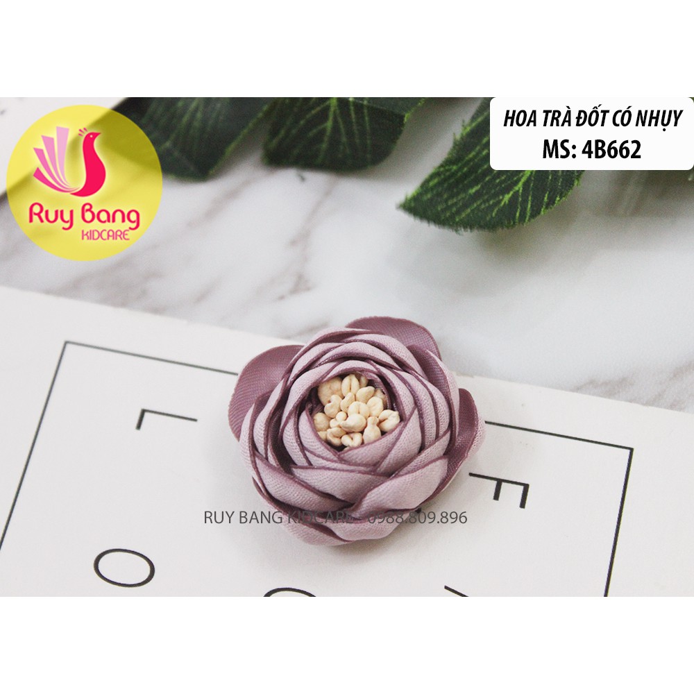 Hoa vải-Hoa trà đốt có nhụy