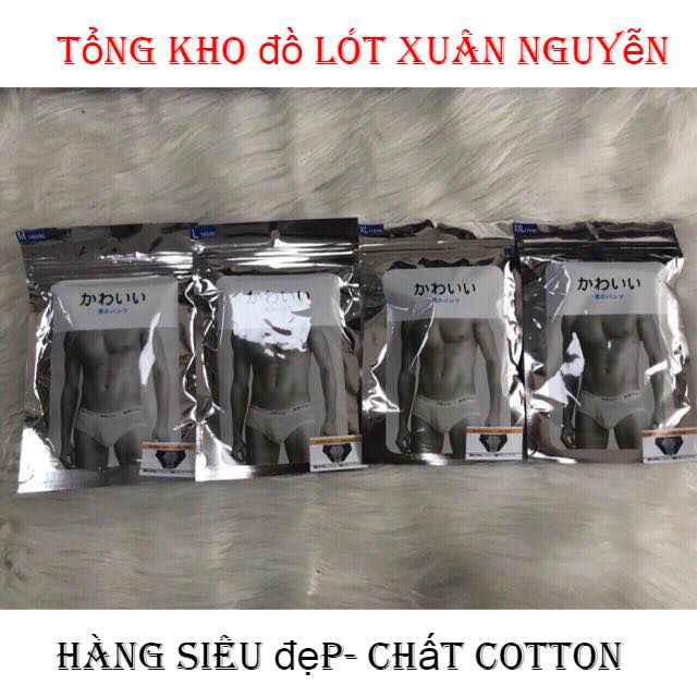 Combo 5 Sịp Nhật túi bạc hàng cao cấp