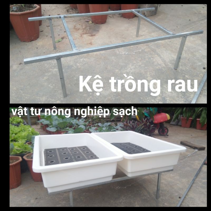 Kệ trồng rau. Kệ đôi 1kệ/2 chậu.Dài 70. Rộng 40. Cao 20cm. Hộp kẽm chống rỉ 14mm*14mm