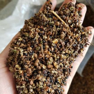 100g Hạt Mắc Khén Tây Bắc