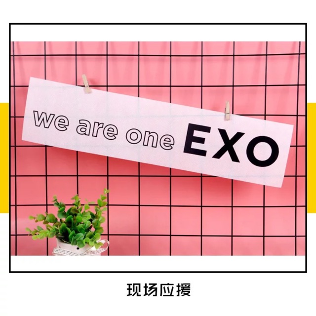 Banner EXO - vải 50x12cm