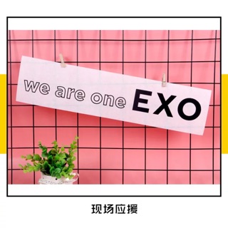 Banner EXO - vải 50x12cm