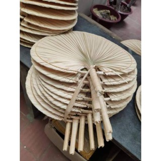 [ Hạ giá ] Xả hàng Quạt lá cọ trang trí decor