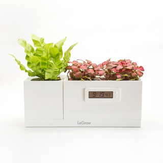 Bộ 3 chậu trồng cây thông minh tích hợp đồng hồ sinh học Legrow - Magical Plant Clock