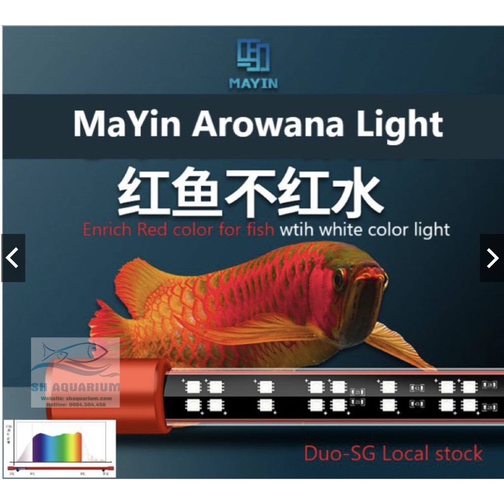 ĐÈN LED CÁ RỒNG MAYIN SUPER COLOUR CHUYÊN DỤNG CHO HUYẾT LONG 112CM