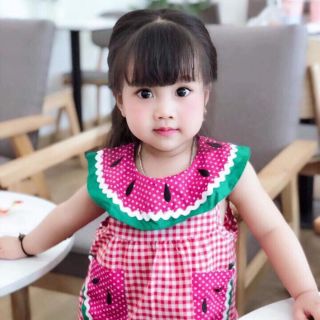 Combo 10 bộ dưa hấu 5-20 kg