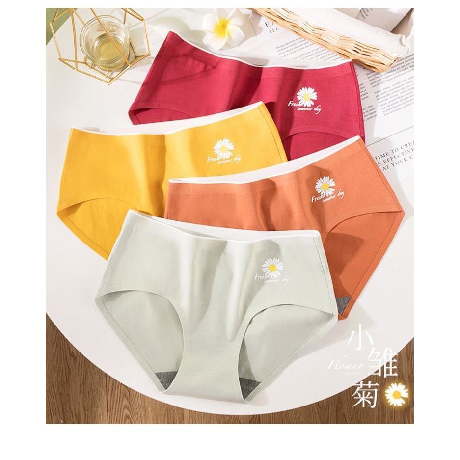 Lót hoa cúc kháng khuẩn