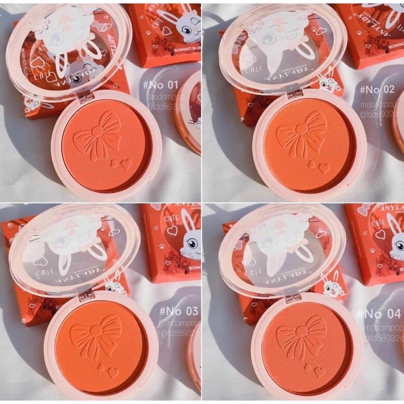 Phấn Má Thỏ Cute ANYLADY BOWKNOT BLUSHER NO.789B