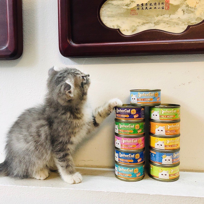 PATE AATAS CAT CHO MÈO 80G ( 16 VỊ )