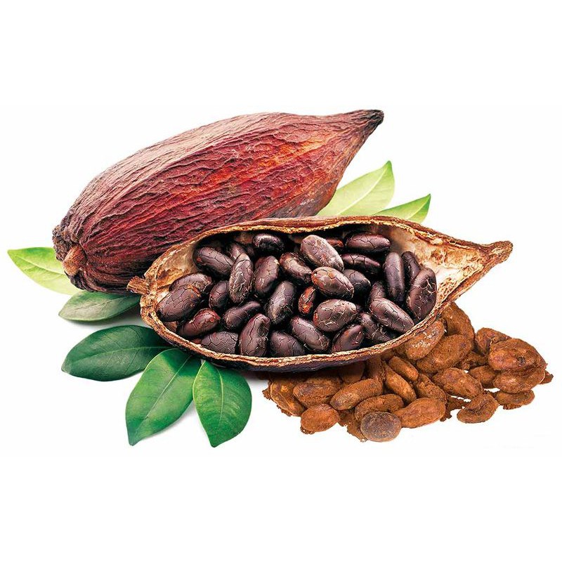 [ 300gr ] Bột cacao nguyên chất cao cấp hữu cơ ( hàm lượng bơ cao, nhiều dinh dưỡng )