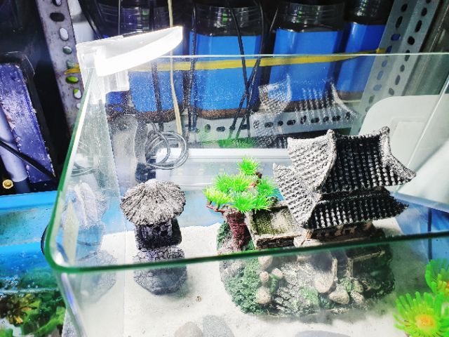 ĐÈN LED KẸP GÓC 5W MÀU TRẮNG TRANG TRÍ HỒ CÁ MINI THỦY SINH