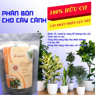 Phân bón cây cảnh phân hữu cơ đậm đặc tan chậm 0,4kg cho cây mai/mit/bưởi/mai/đào/ăn trái và các loại cây/hoa khác