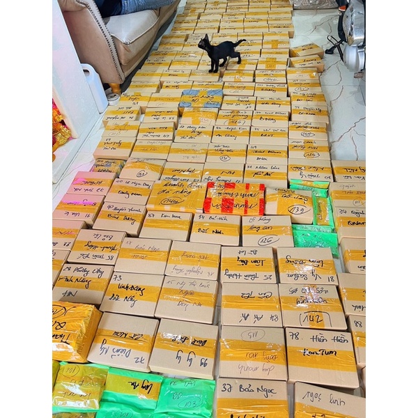 Son Sáp Lì Mới Nhất Hãng Bernice - Son S2B