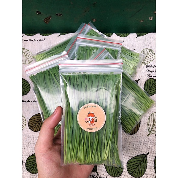 [ Có sẵn ] Cỏ mèo tươi ăn liền