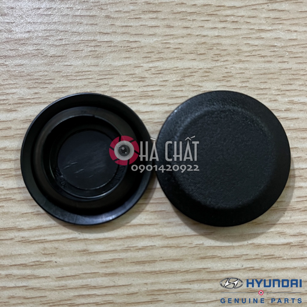 Nút đậy sườn xe, cánh cửa xe Hyundai và Kia 🚘 nhập khẩu chính hãng Hàn Quốc 🎯 Bảo hành 100% là hàng chính hãng
