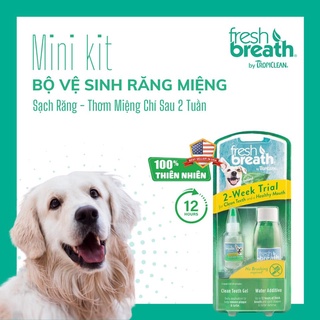 𝗨𝗿𝗯𝗮𝗻_𝗧𝗿𝗼𝗽𝗶𝗰𝗹𝗲𝗮𝗻_Bộ kit vệ sinh răng miệng cho chó