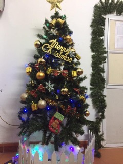 Cây thông noel cao m5