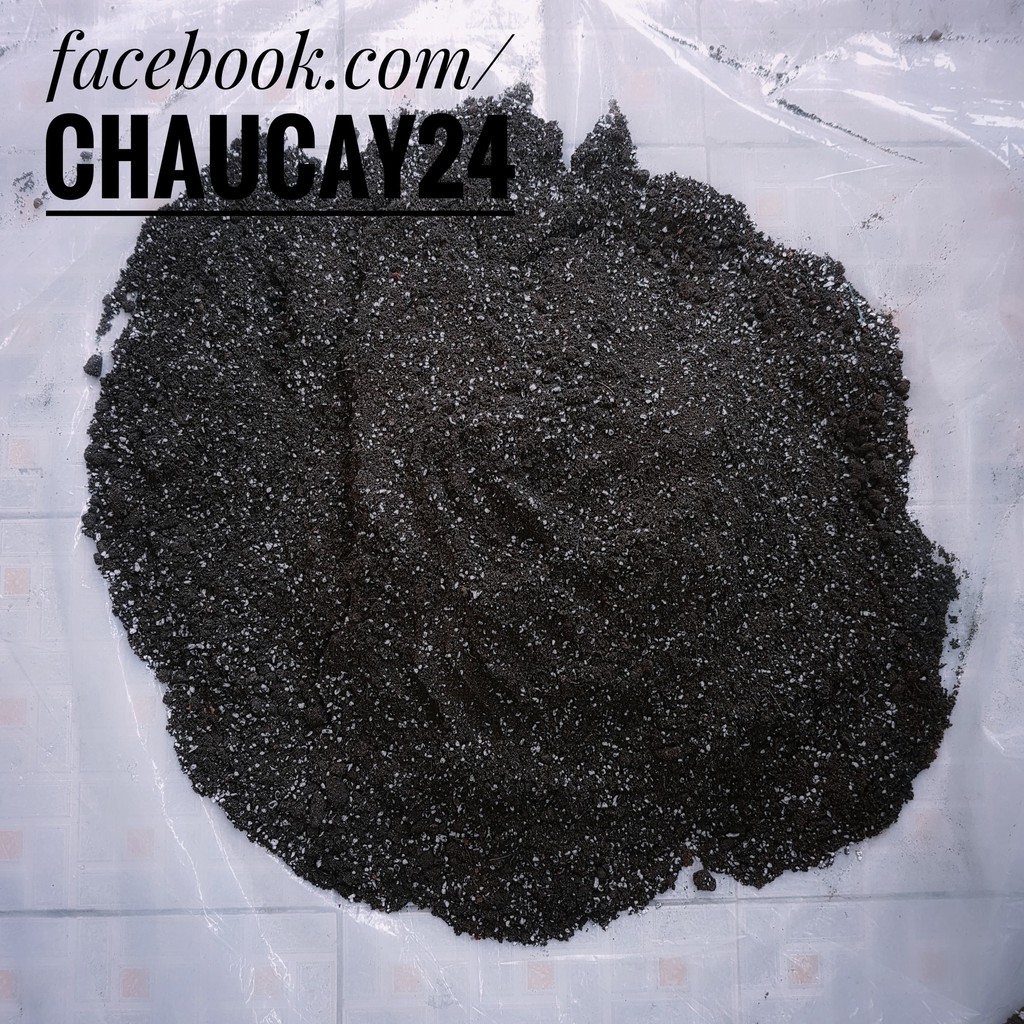 Đất trồng sen đá, xương rồng chuẩn loại 1