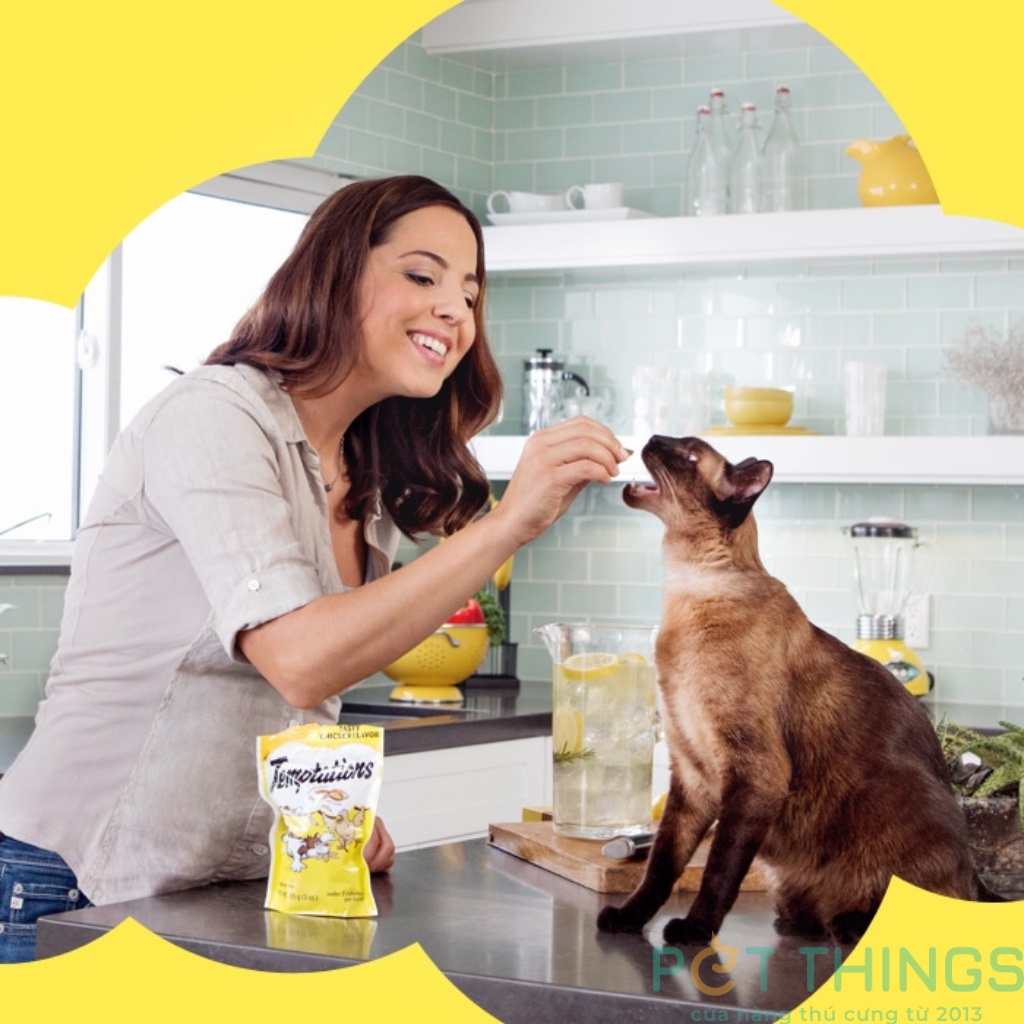 Bánh thưởng cho mèo Temptations Mỹ 85g