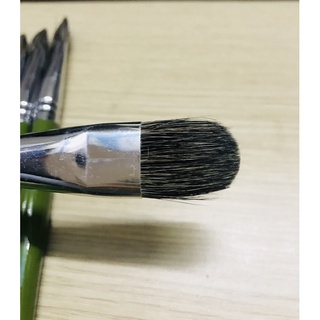 BỘ CỌ LÔNG CHỒN 12 CÂY ART POWER< Hàng đẹp>