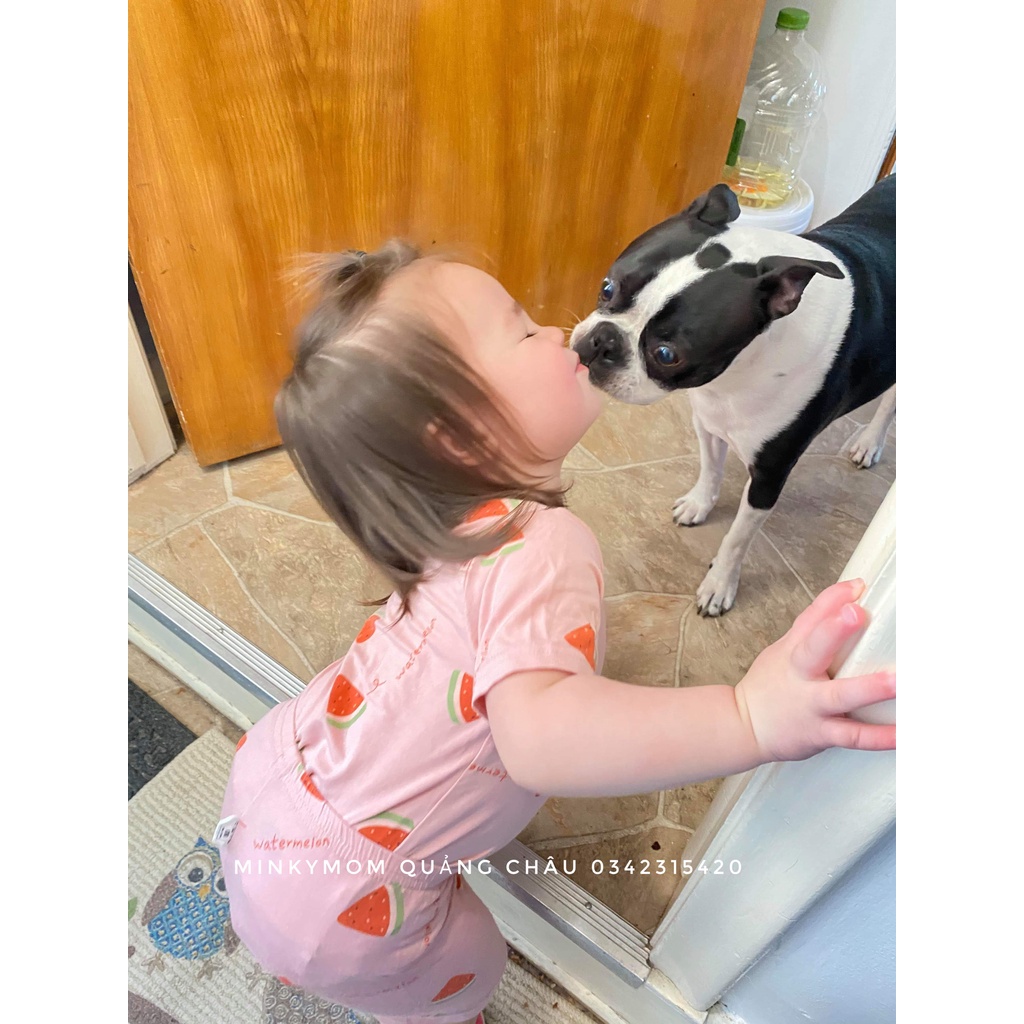 [MINKYMOM] BỘ CỘC THUN LẠNH HOA QUẢ MỀM MÁT MINKY MOM QUẢNG CHÂU