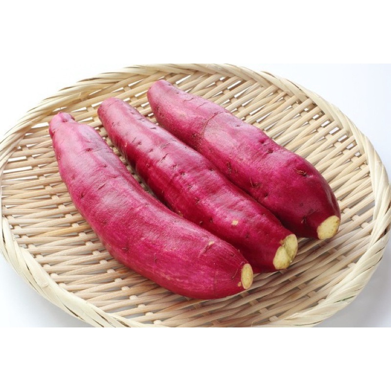 Khoai lang nhật