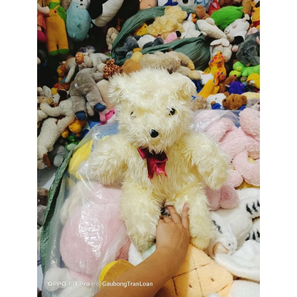 Teddy gấu bông dễ thương size 40_50cm
