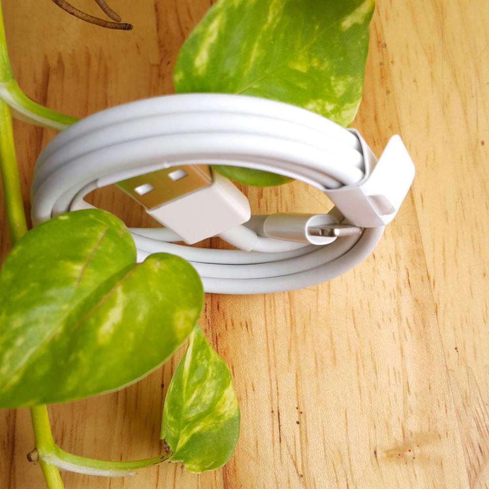 Dây sạc iphone zin cao cấp | BigBuy360 - bigbuy360.vn