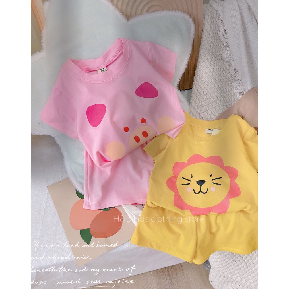 Bộ cotton 3 mặt con vật cho bé