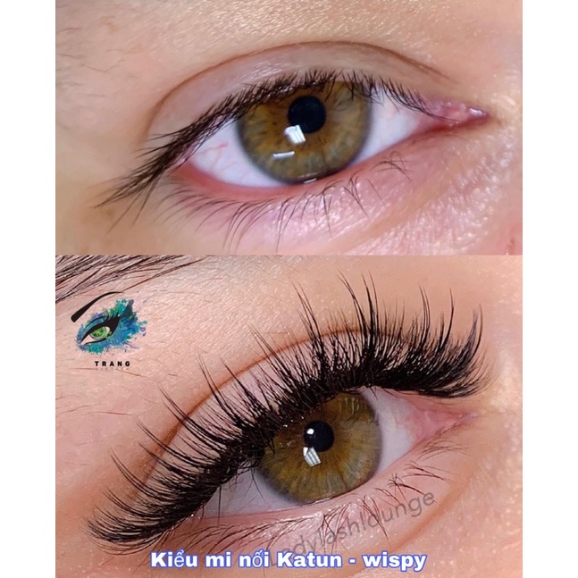 Lông Mi Trụ Katun Cao Cấp - Mi Wispy 5D 7D Độ Cong C D - Mi Fan Sẵn Katun