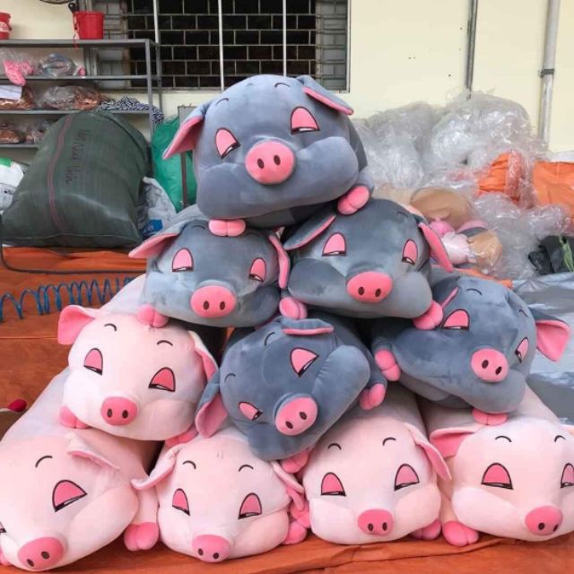 Gấu heo 49k