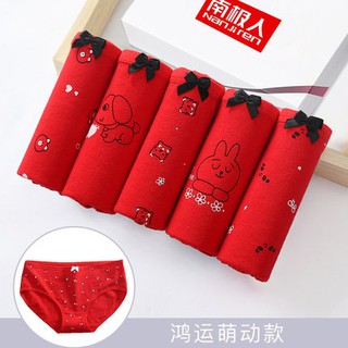 [gom order] combo 8 quần chip cotton kháng khuẩn