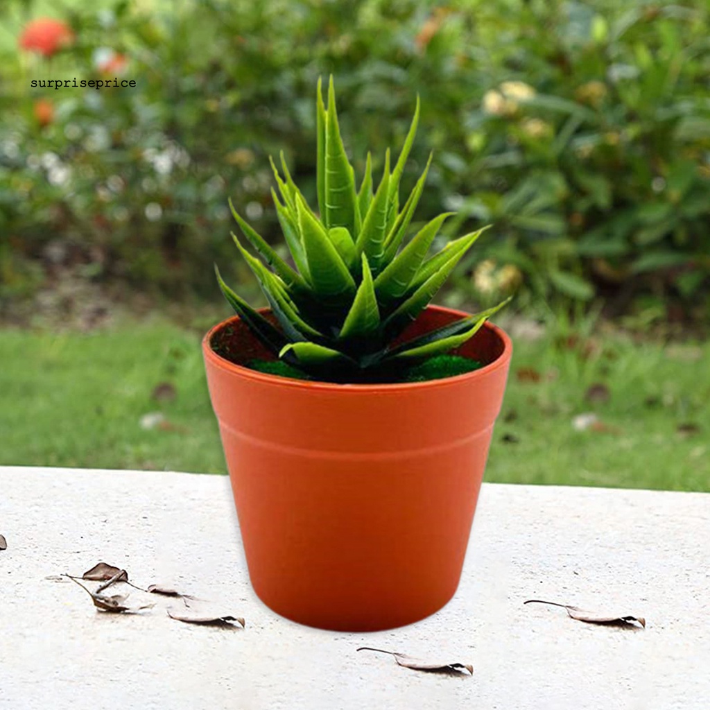 Chậu Cây Bonsai Giả Mini Bằng Nhựa Dùng Trang Trí Nhà Cửa/Văn Phòng