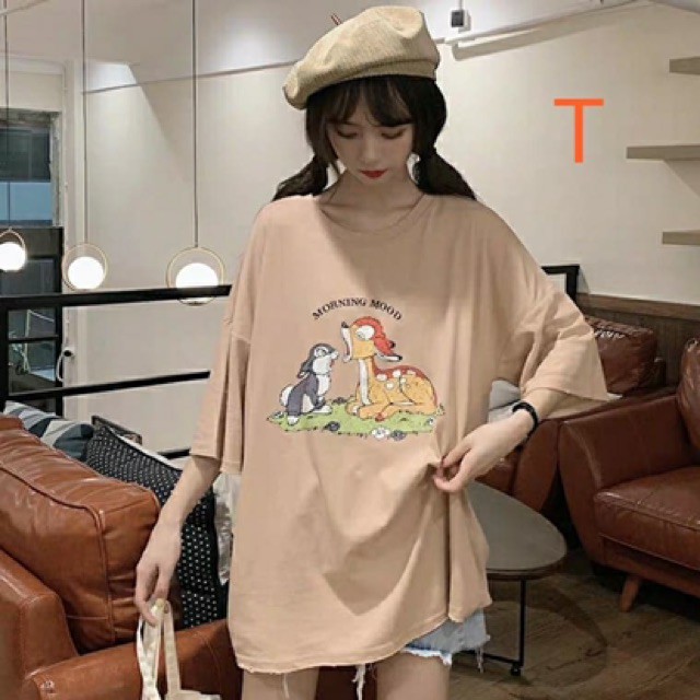 Áo thỏ và Nai TT12
