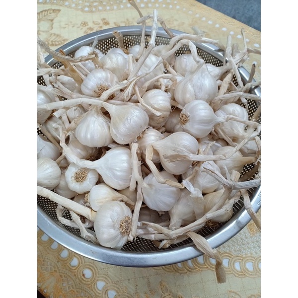 Tỏi Lý Sơn Chính Gốc - Đặc Sản Quảng Ngãi