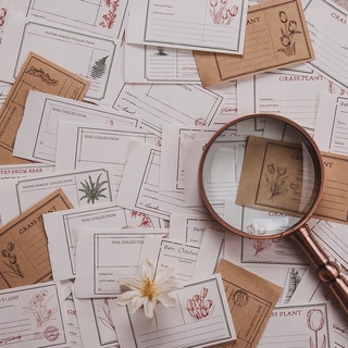 Set 10/30 Tờ Giấy Ghi Chú Plant Notes Series Cổ Điển Vintage Hoạ Tiết Hoa Lá Trang Trí Bullet Journal
