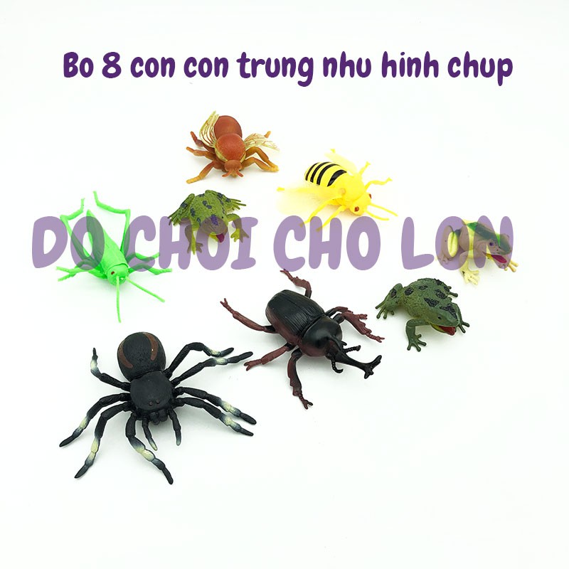 Bộ đồ chơi 8 loài côn trùng bằng nhựa Insect SET 929-79