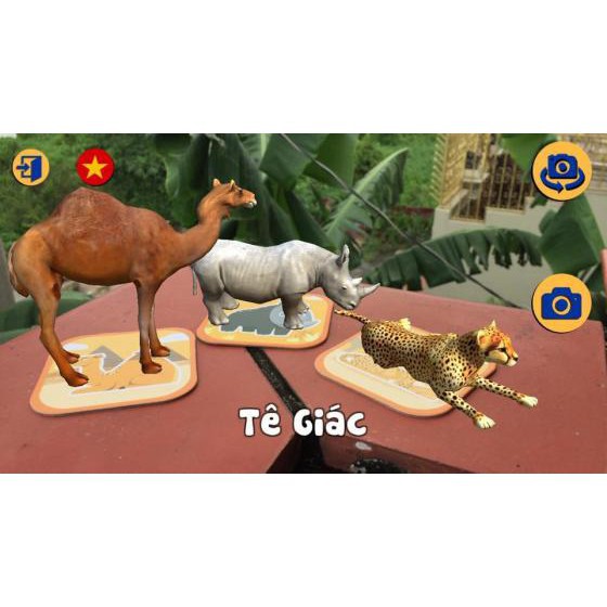 [ Gía siêu rẻ ] Hộp 60 thẻ animals 4D (thẻ thực tế ảo)