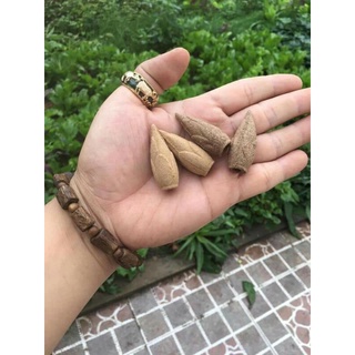 Nụ trầm hương cao cấp